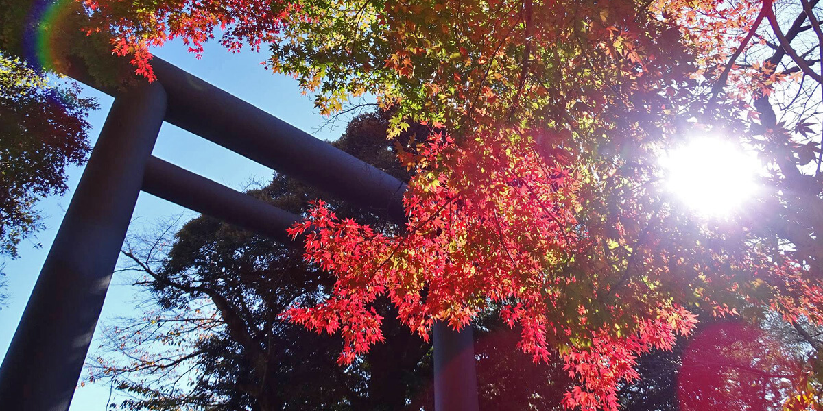 常磐神社～水戸黄門【徳川光圀公】を祀る神社～